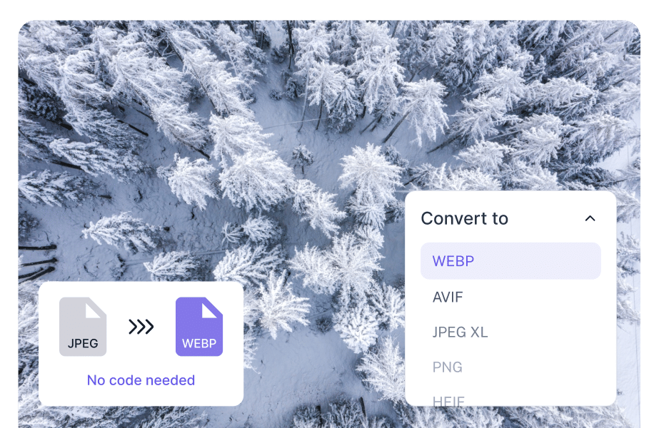 Feature Image