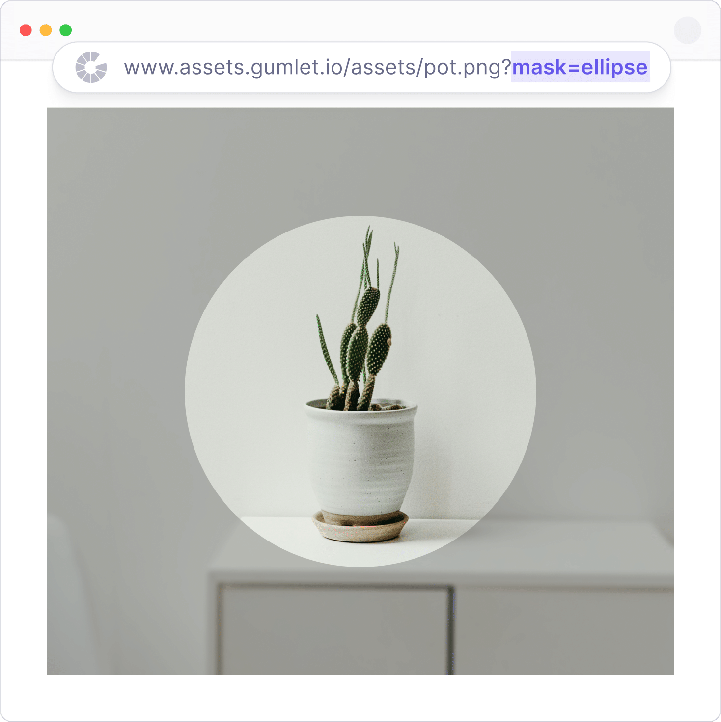 Feature Image