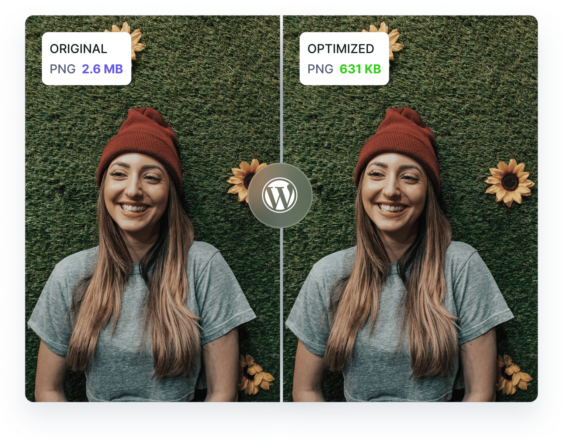 WordPress Plugin - Gumlet